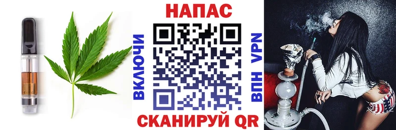 где можно купить наркотик  мега ССЫЛКА  Печенье с ТГК конопля  Пушкино 