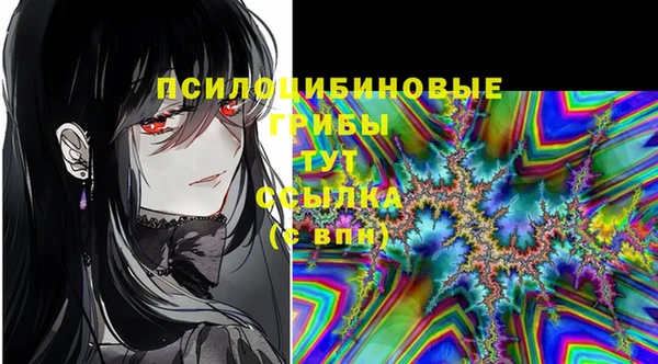 твердый Алексин
