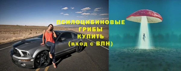 ГАЛЛЮЦИНОГЕННЫЕ ГРИБЫ Алзамай