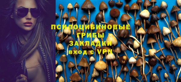 ГАЛЛЮЦИНОГЕННЫЕ ГРИБЫ Алзамай